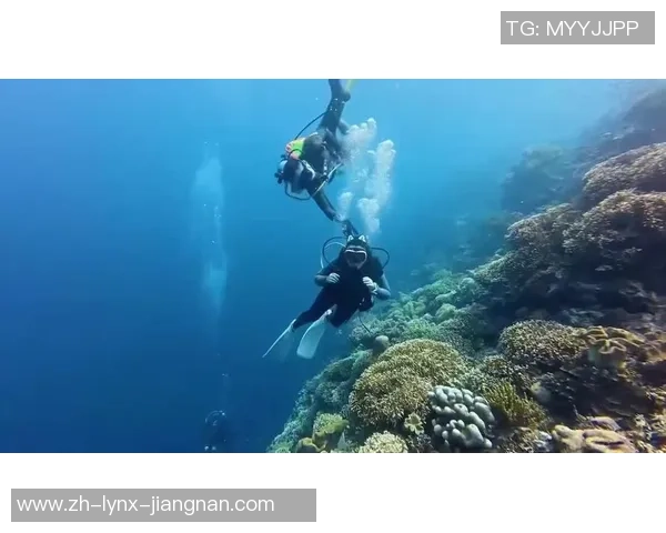 有与“关掉女潜友气瓶”者同名潜水教练被挂上网！当事人驳斥谣言